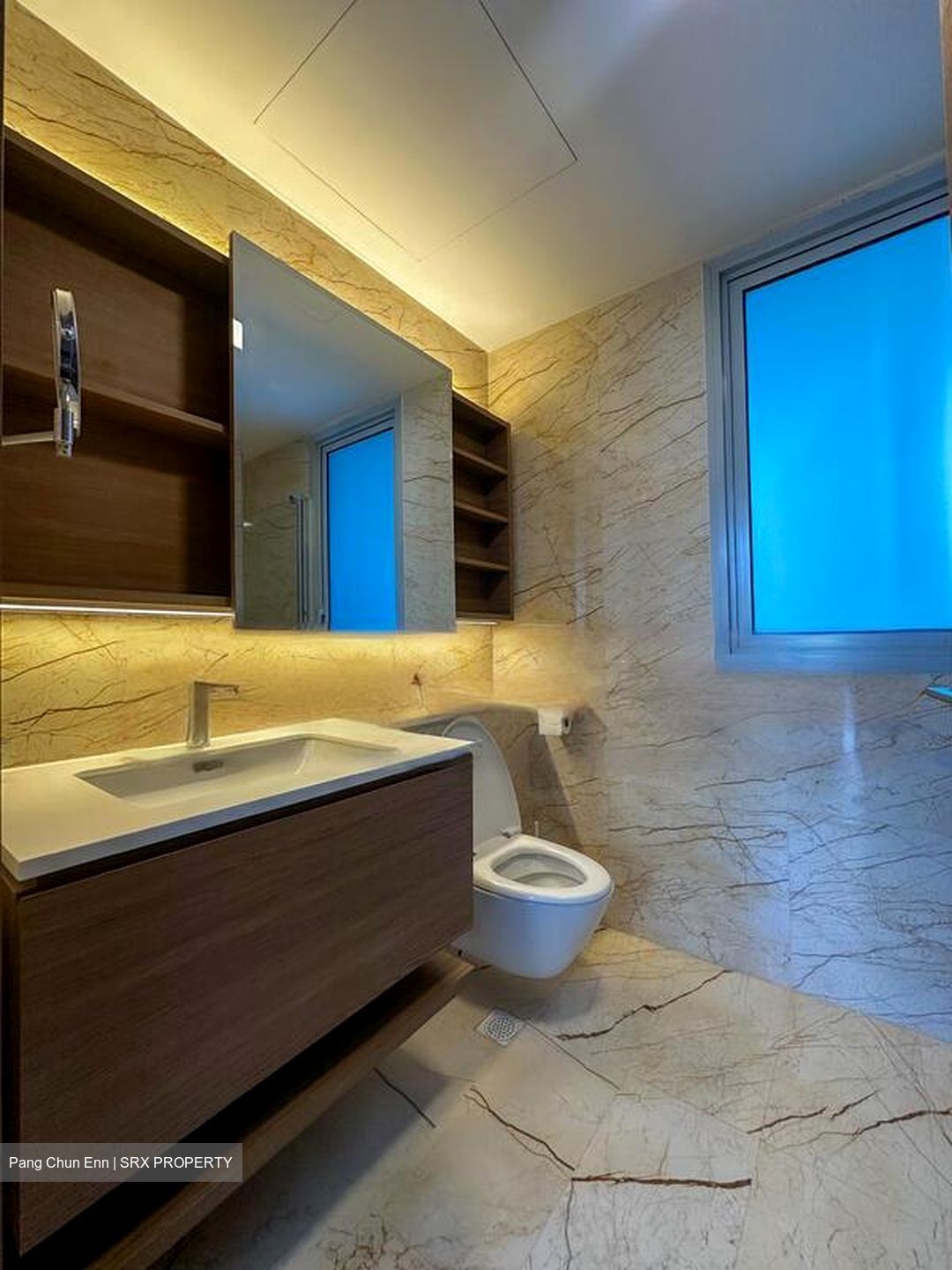 Queens Peak (D3), Condominium #470792171